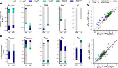 Thermodynamic Origin of Differential Excipient-Lysozyme Interactions